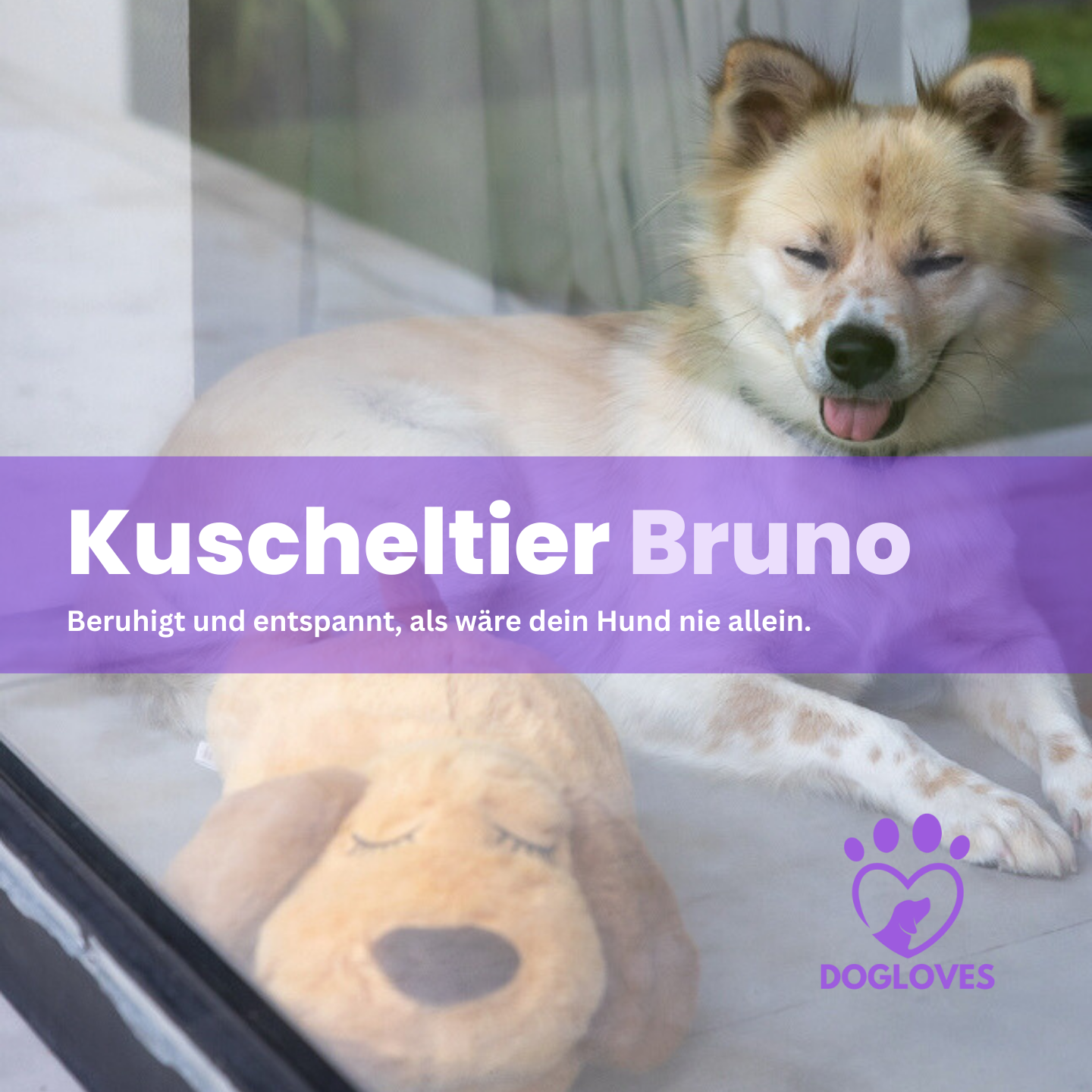 Das Kuscheltier ,,BRUNO,, das Dein Hund lieben wird