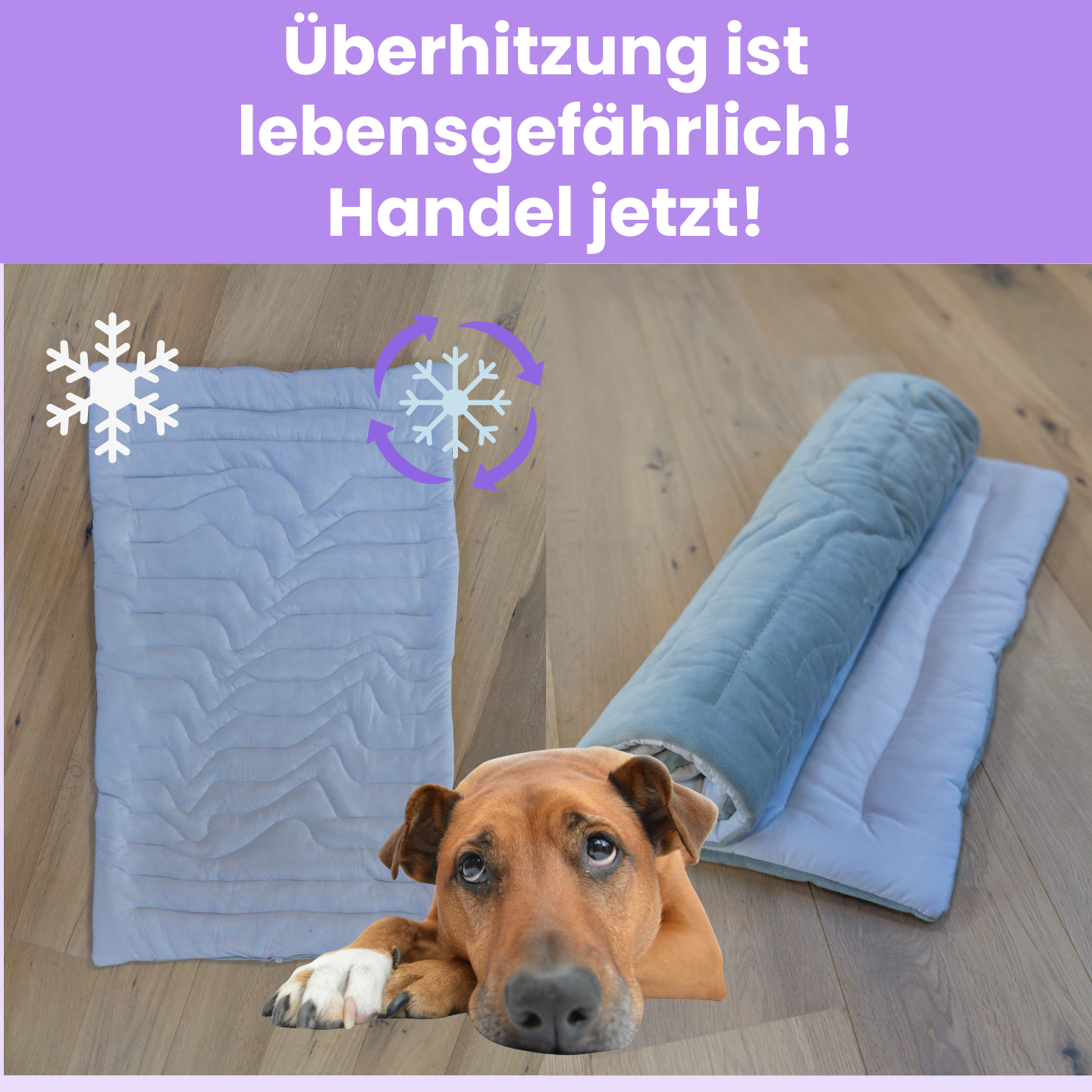 KühlPfote – Die sichere Kühlmatte für heiße Tage