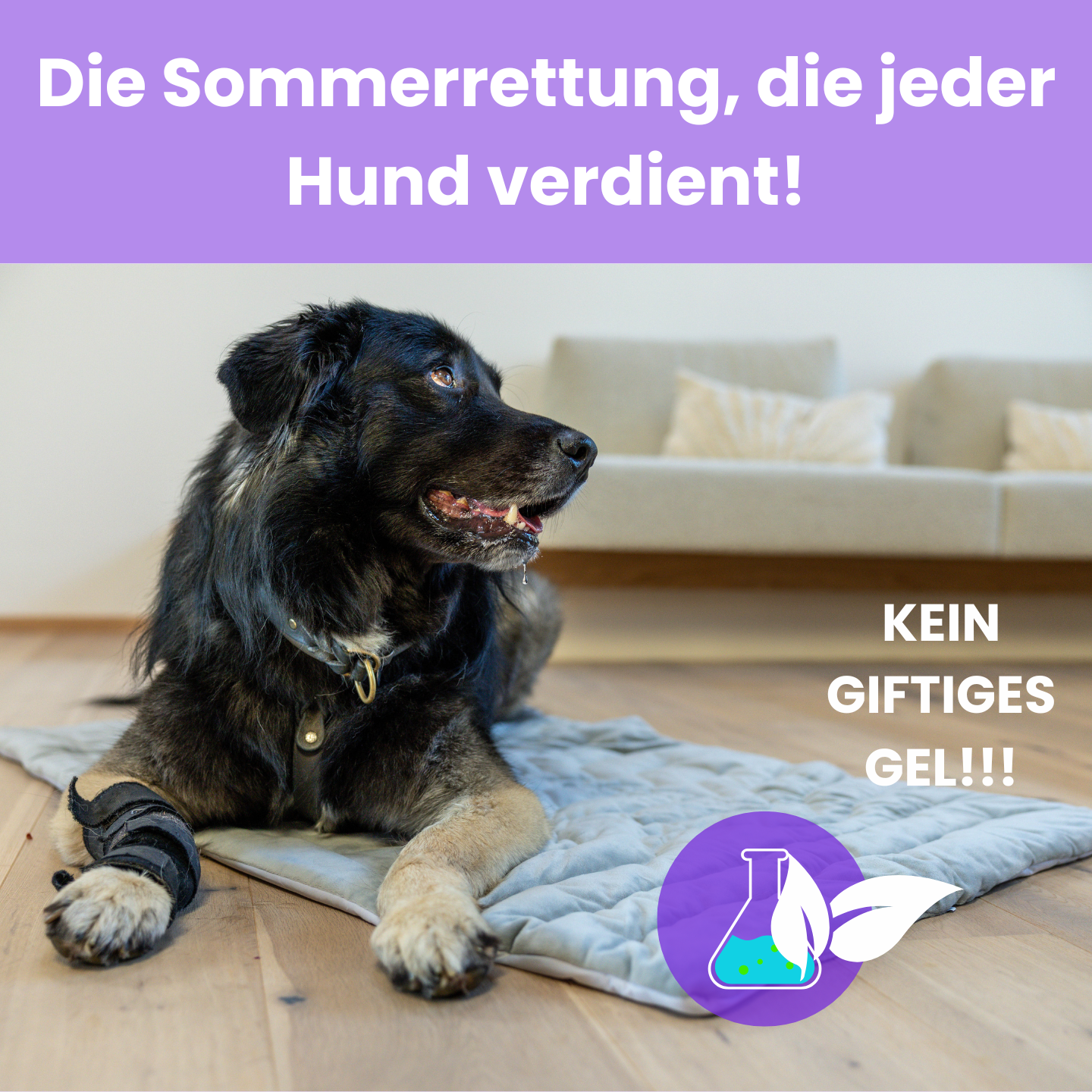 KühlPfote – Die sichere Kühlmatte für heiße Tage