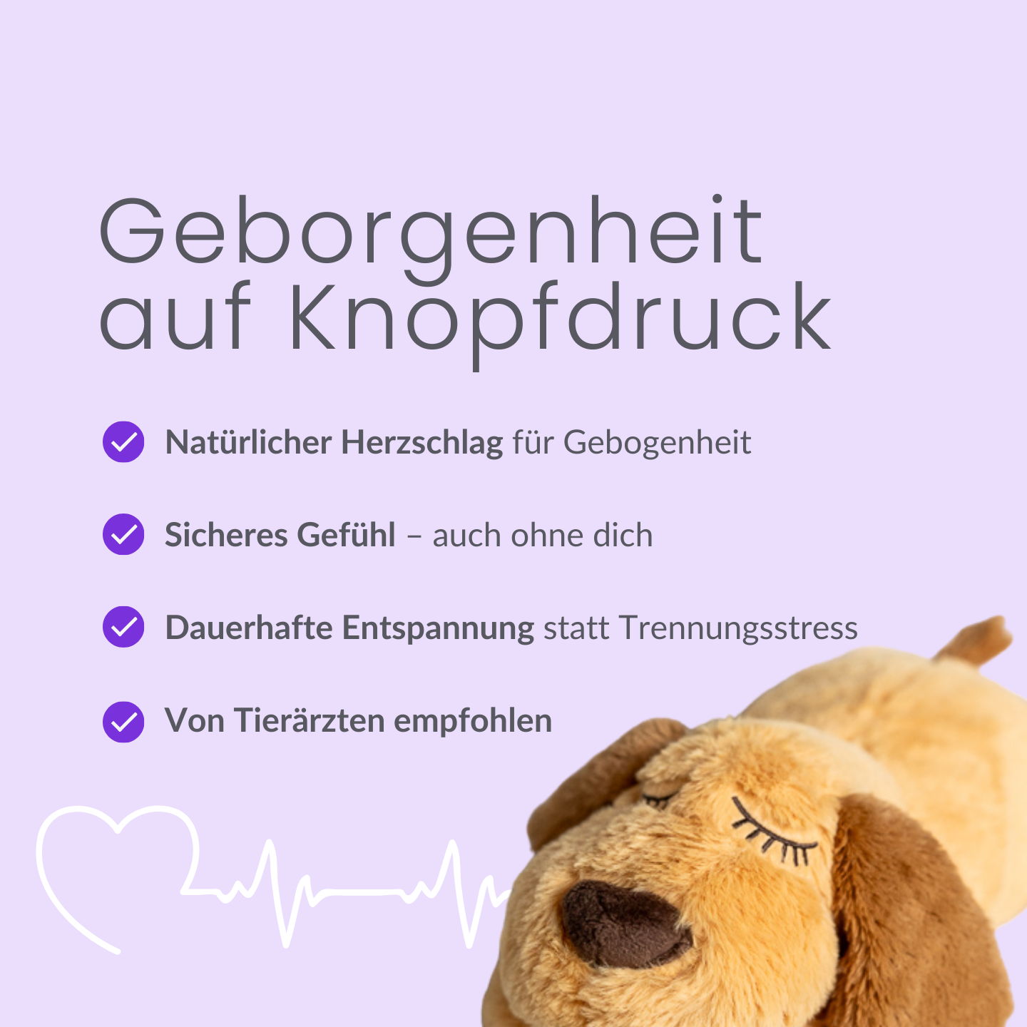 Das Kuscheltier ,,BRUNO,, das Dein Hund lieben wird