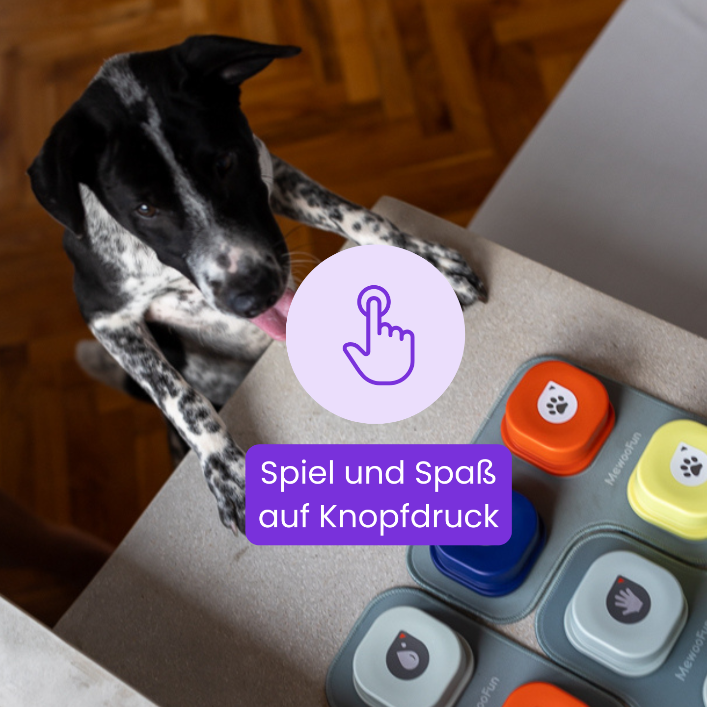 Das interaktive Kommunikationstool für Hunde