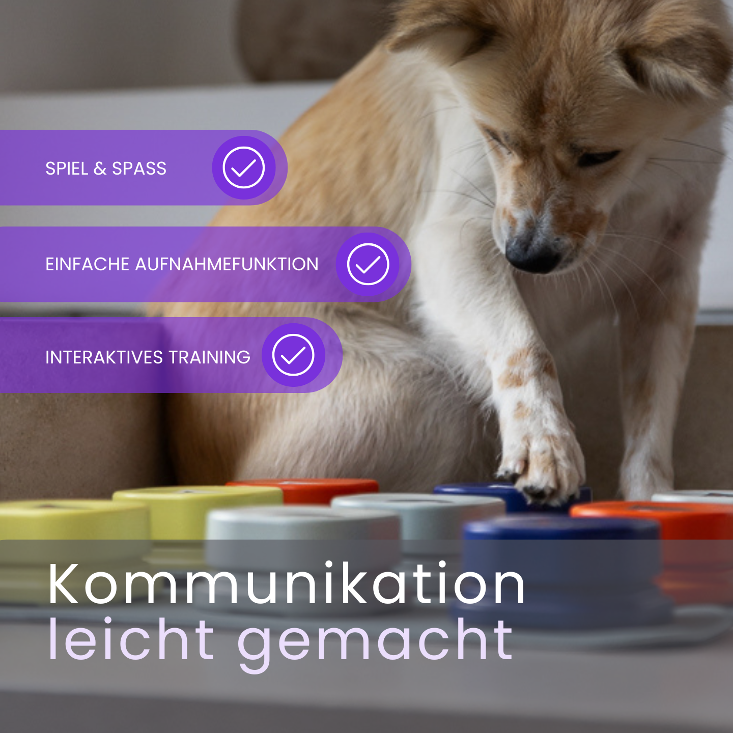 Das interaktive Kommunikationstool für Hunde
