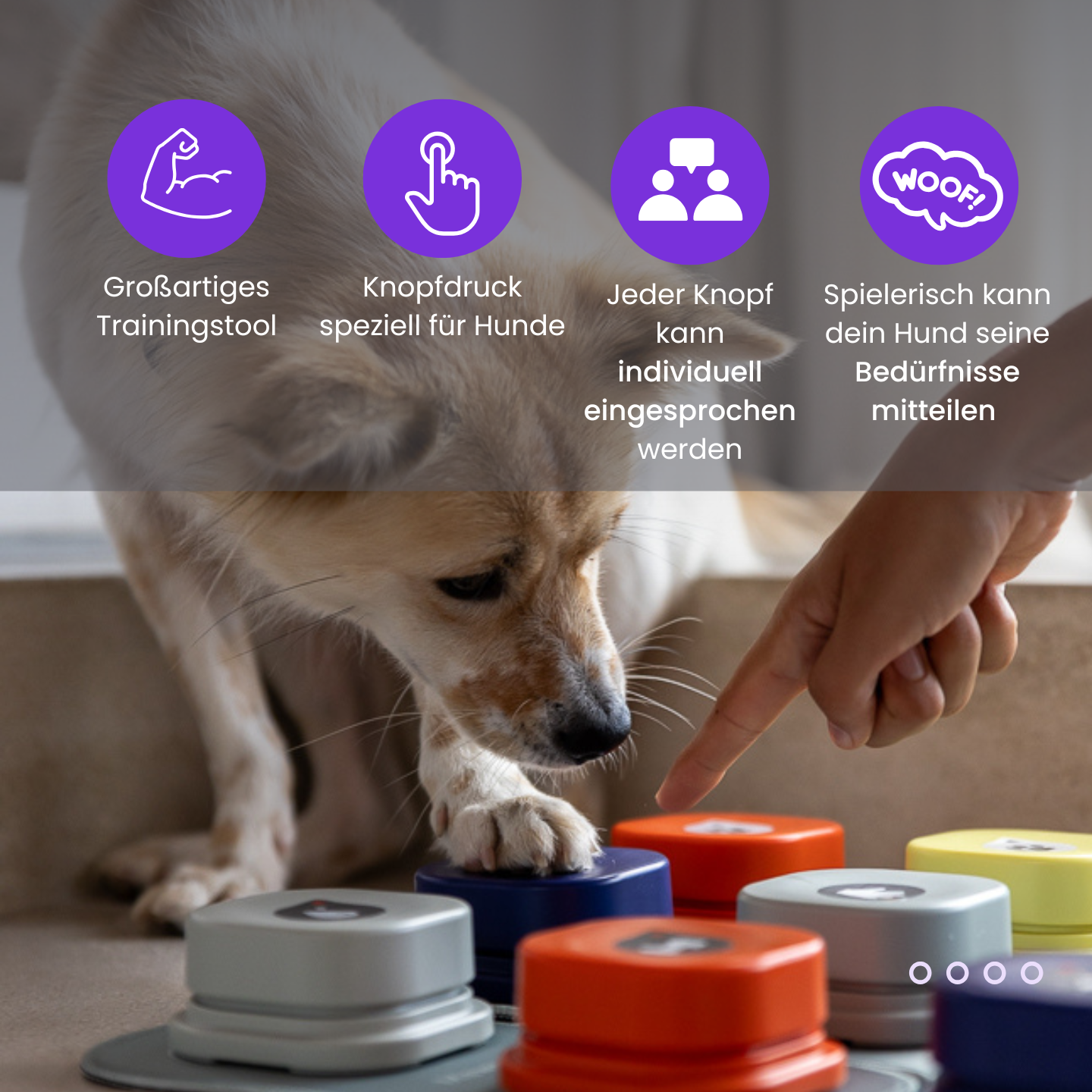 Das interaktive Kommunikationstool für Hunde