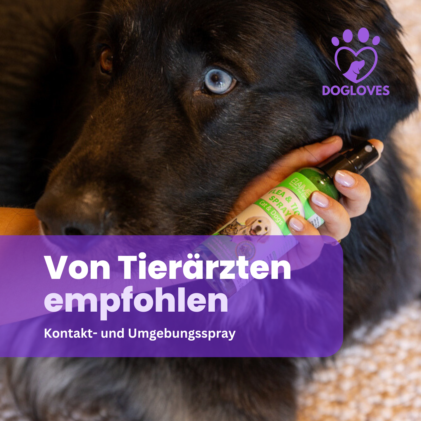 Das ultimative Zeckenspray