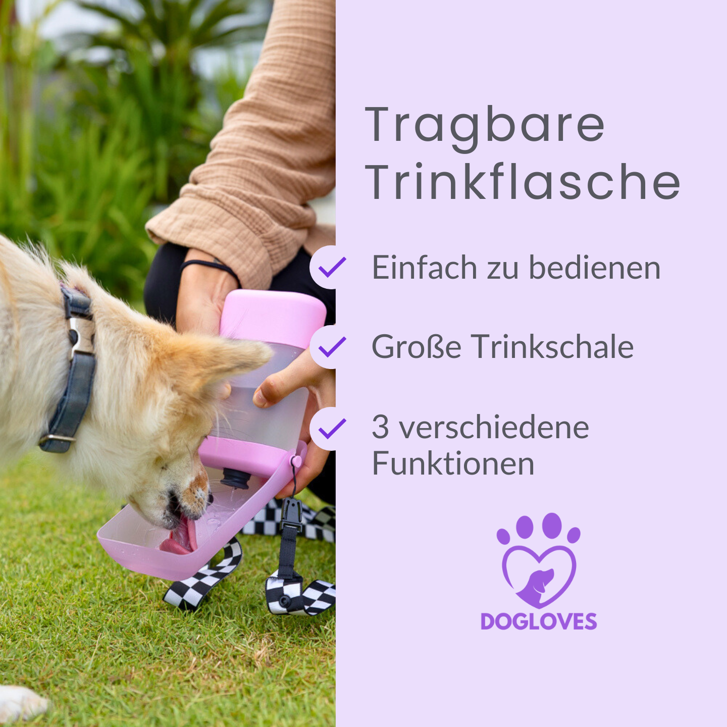 Die praktische Hundewasserflasche für unterwegs