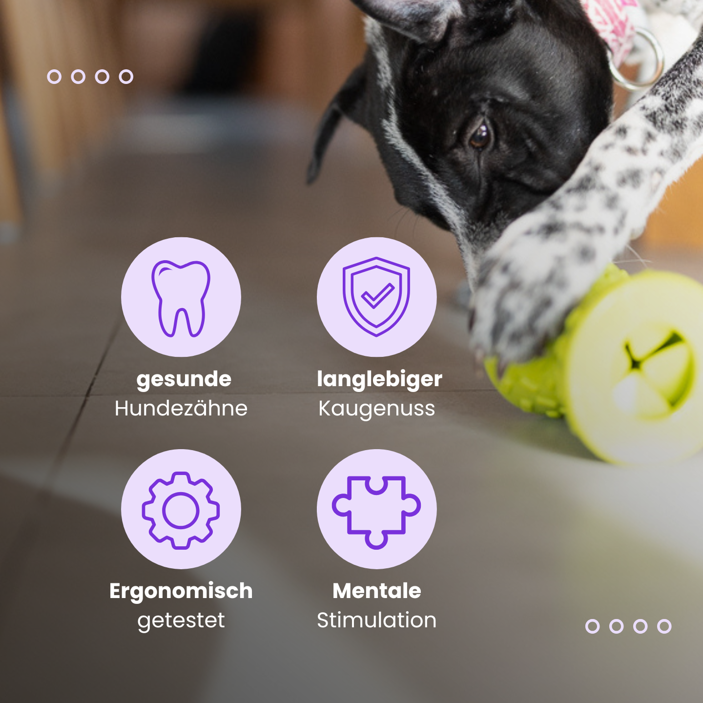 Das Kauspielzeug für die Gesundheit deines Hundes
