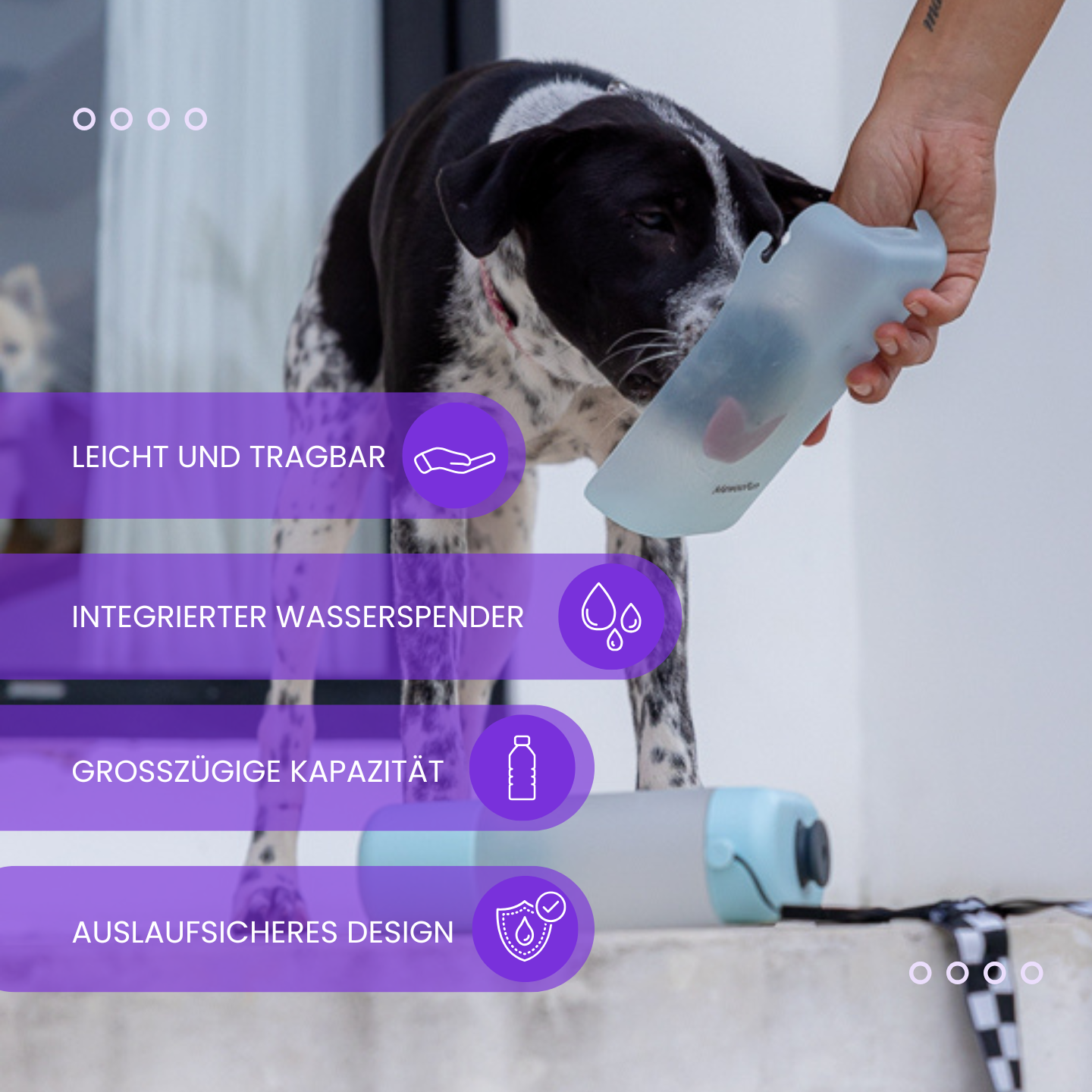 Die praktische Hundewasserflasche für unterwegs