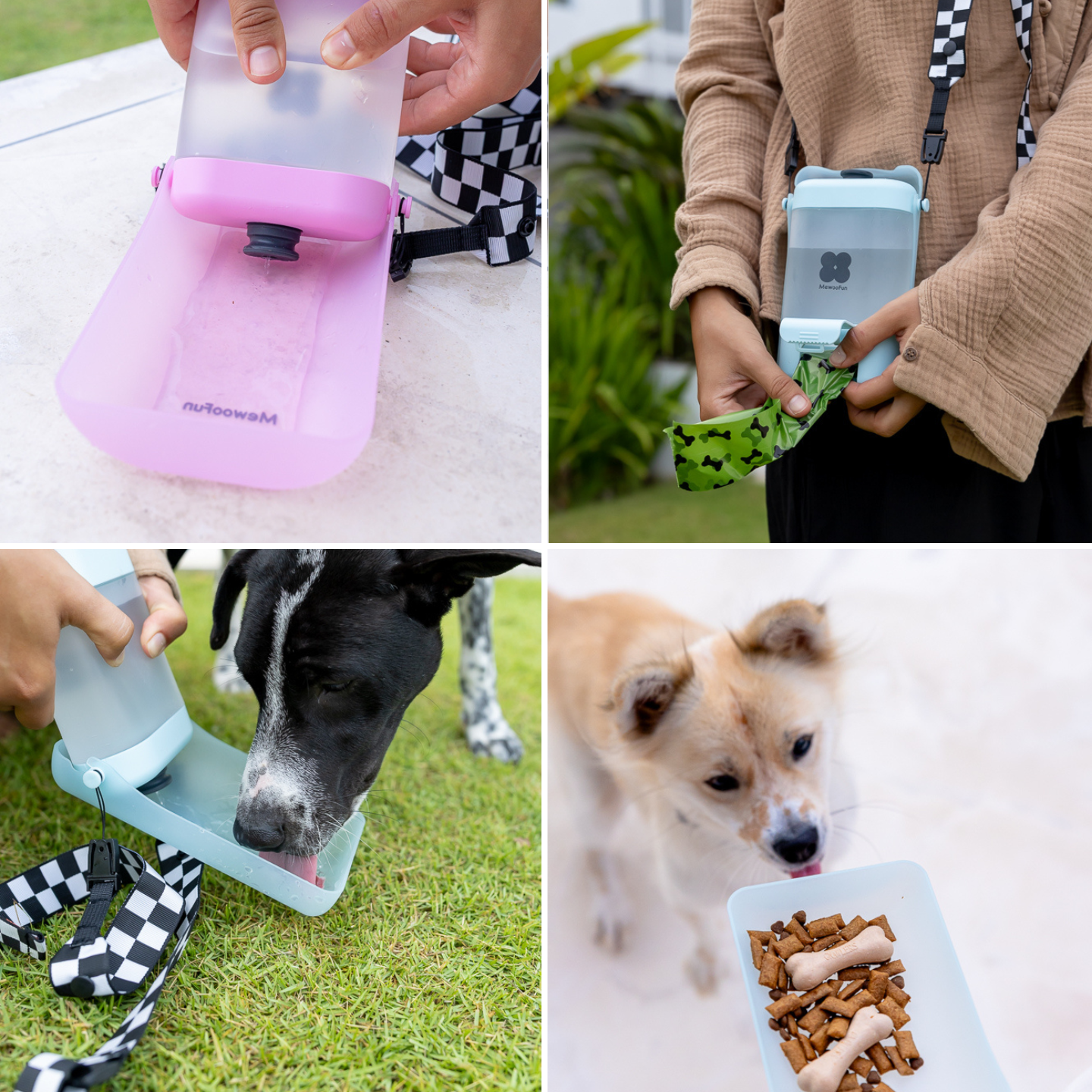 Die praktische Hundewasserflasche für unterwegs