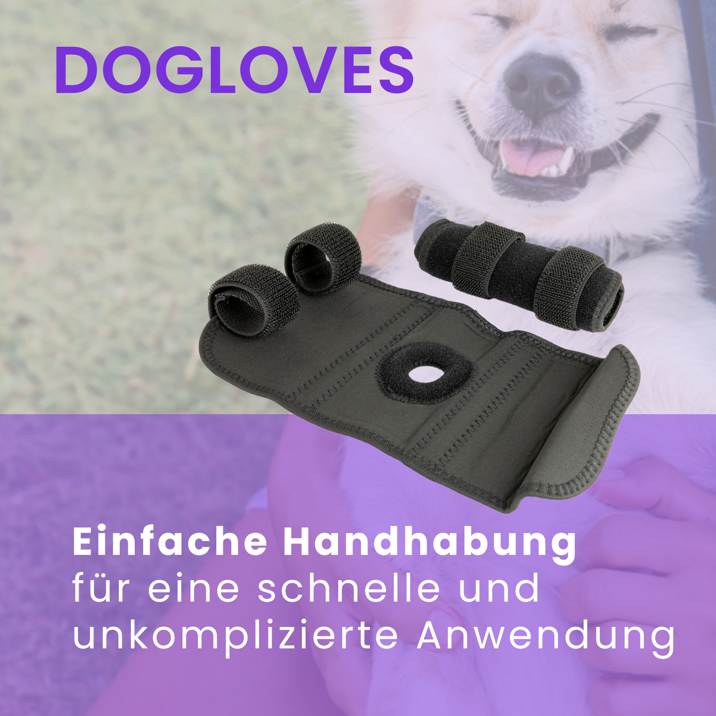 Gesundheitsbandagen: Sofortiger Komfort und Schutz für deinen Hund