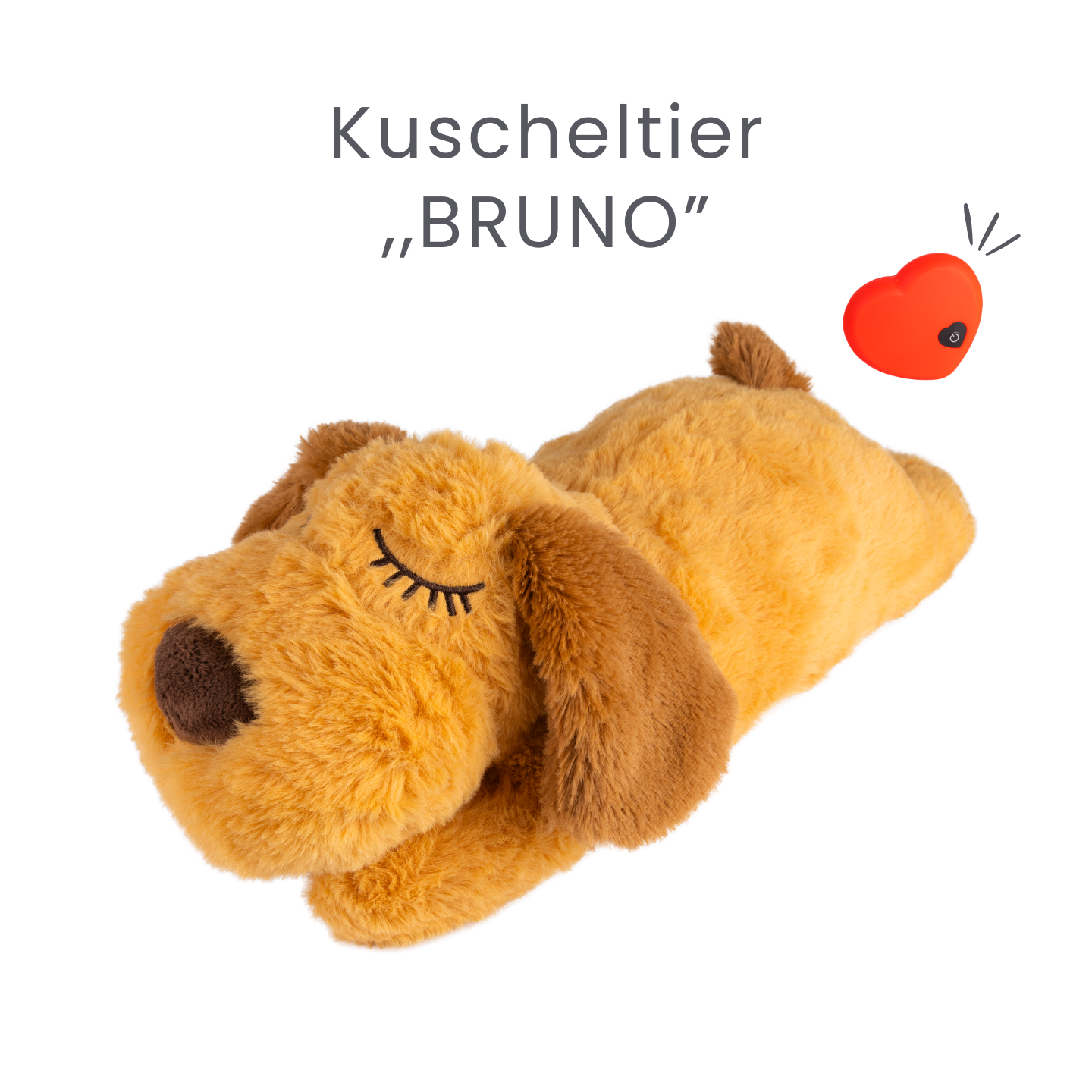 Das Kuscheltier ,,BRUNO,, das Dein Hund lieben wird