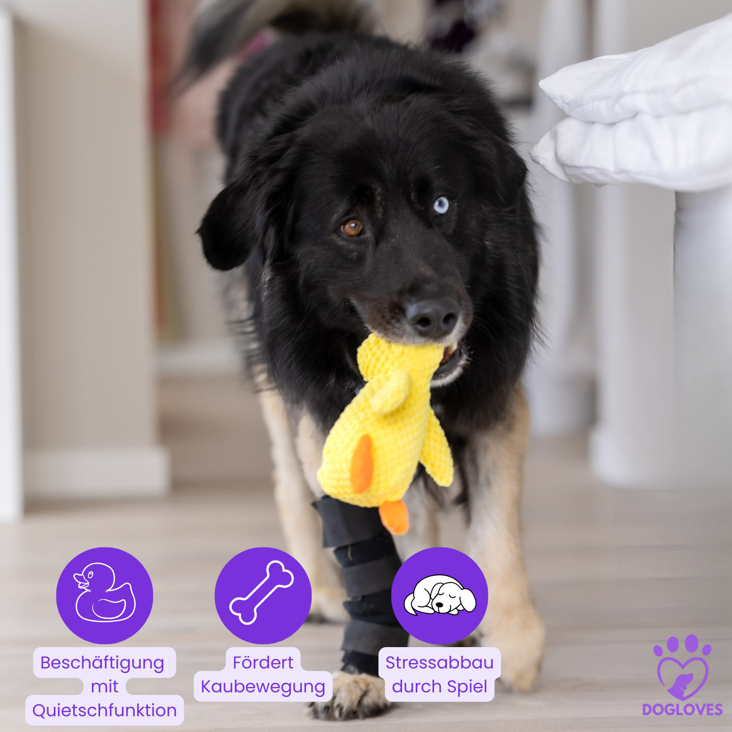 Anti-Stress-Ente - Spielspaß & Entspannung für deinen Hund