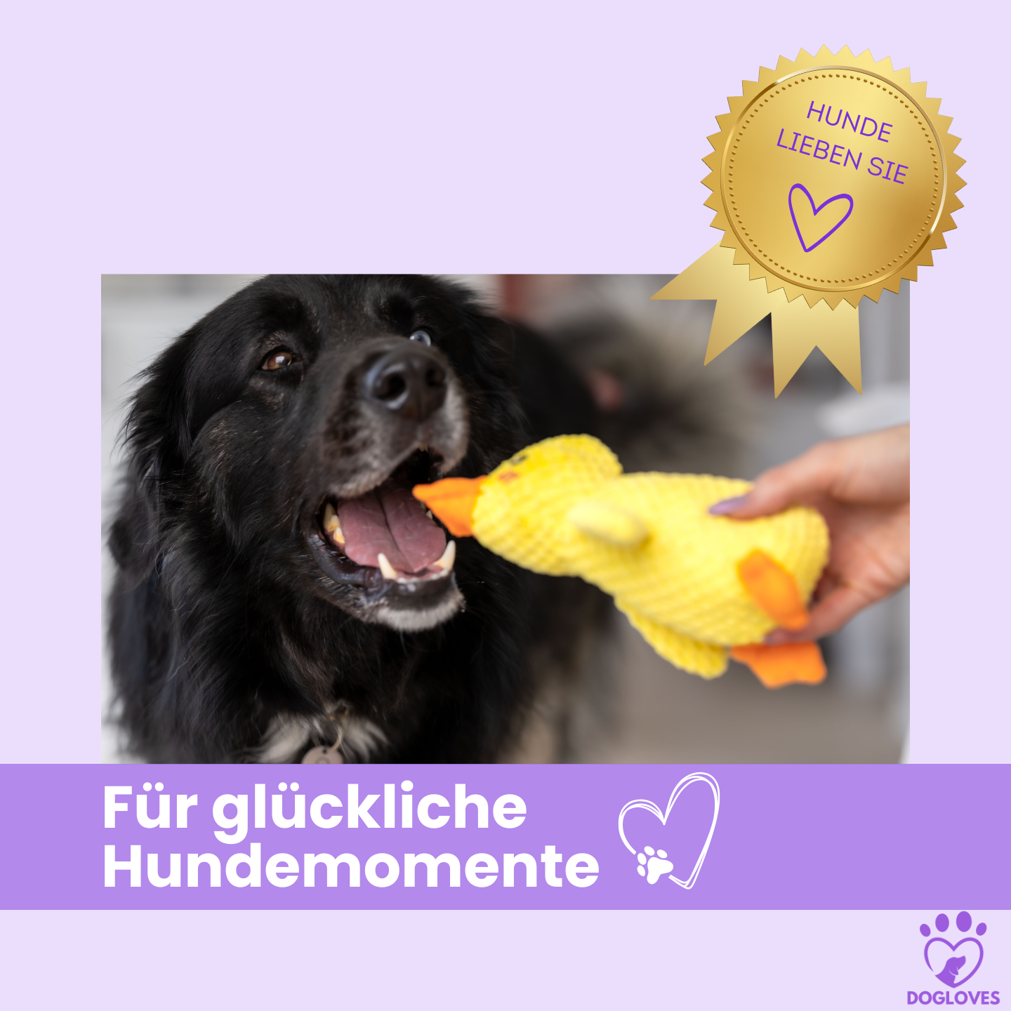 Anti-Stress-Ente - Spielspaß & Entspannung für deinen Hund
