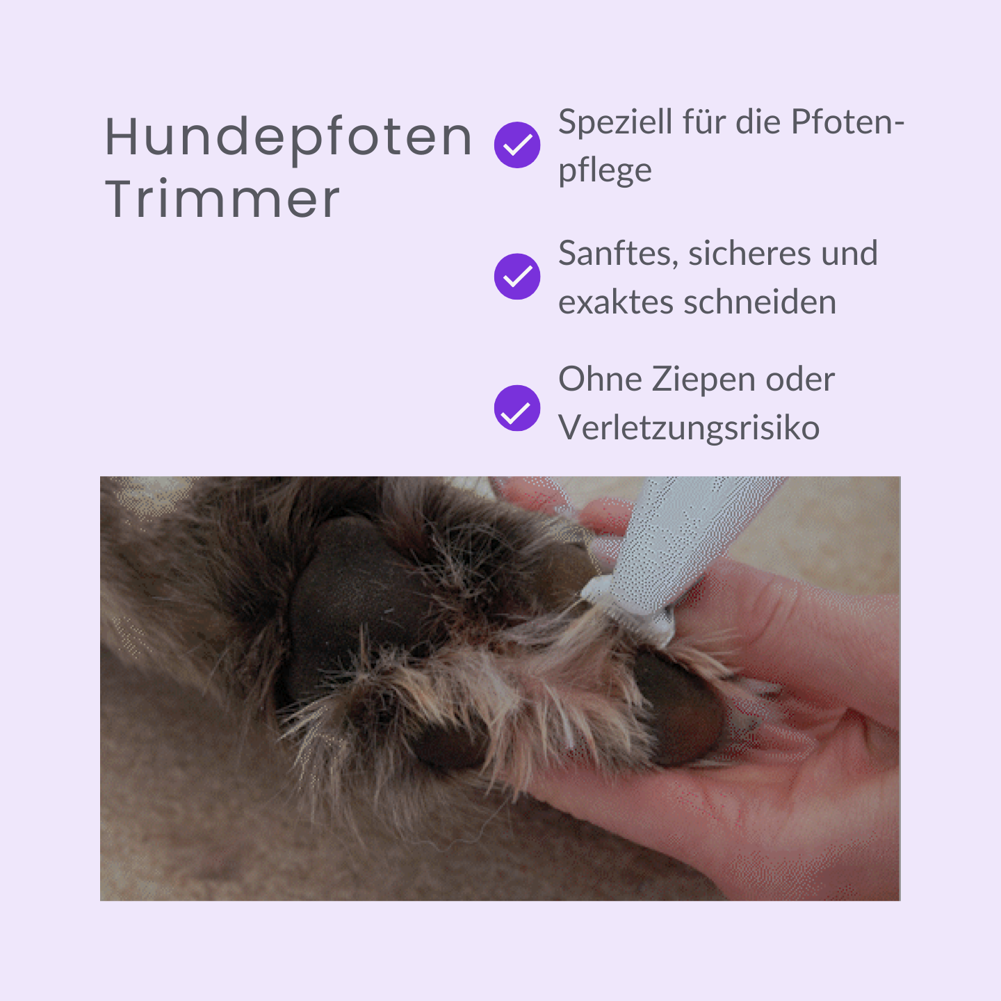 Professioneller Hundepfoten-Trimmer mit LED-Licht!