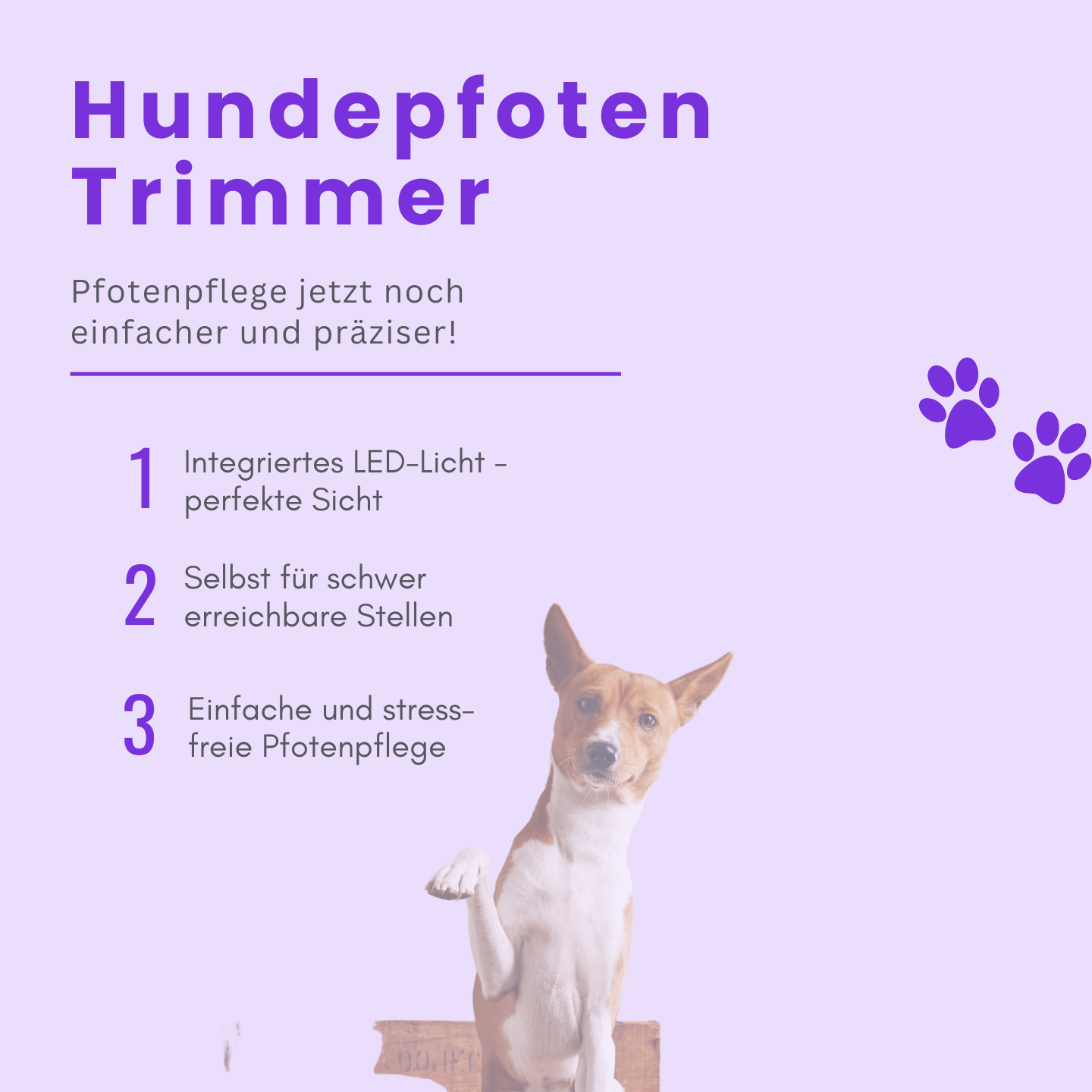 Professioneller Hundepfoten-Trimmer mit LED-Licht!