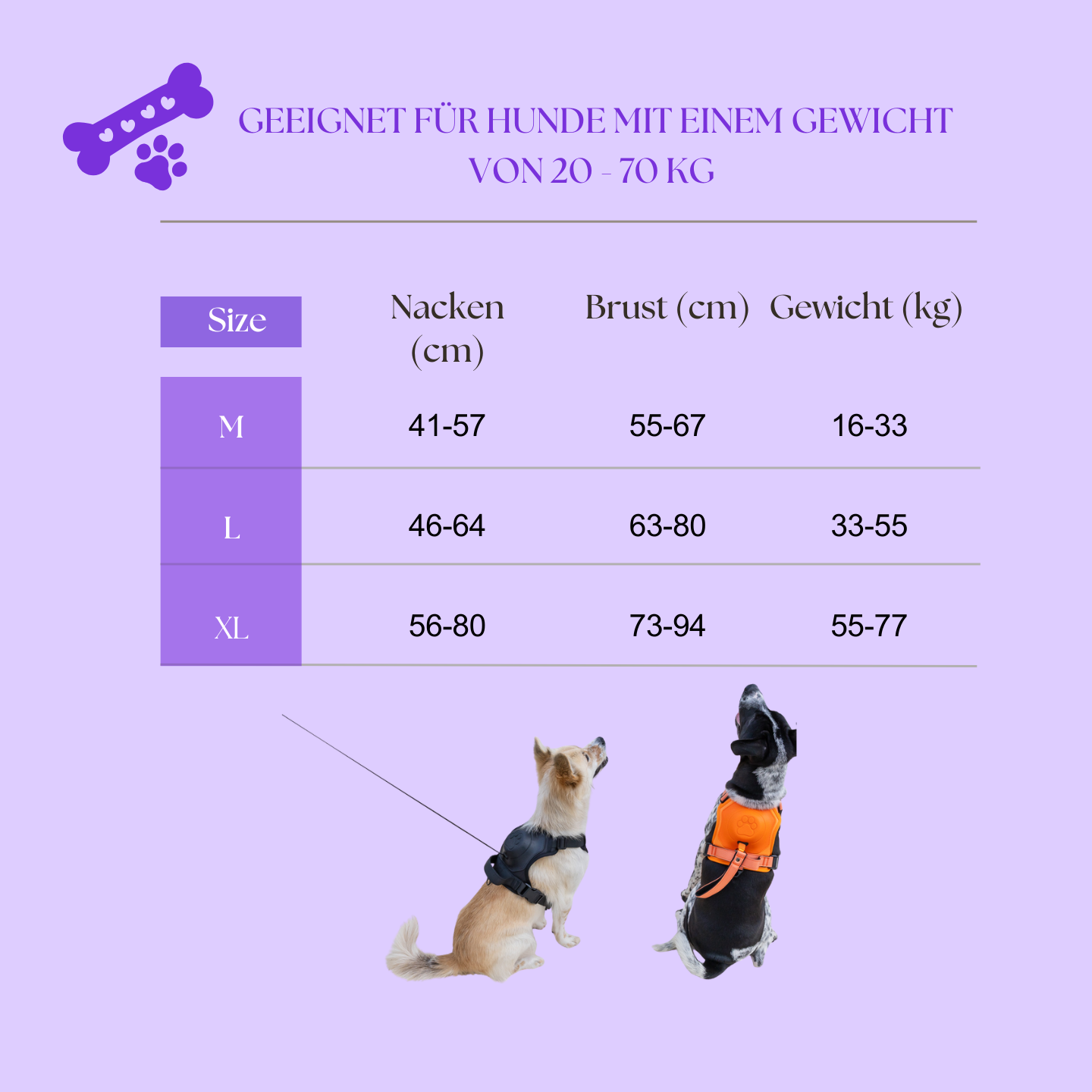 Das Control Hunde-Geschirr