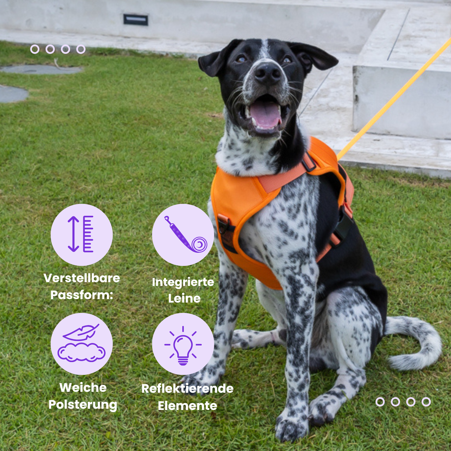 Das Control Hunde-Geschirr