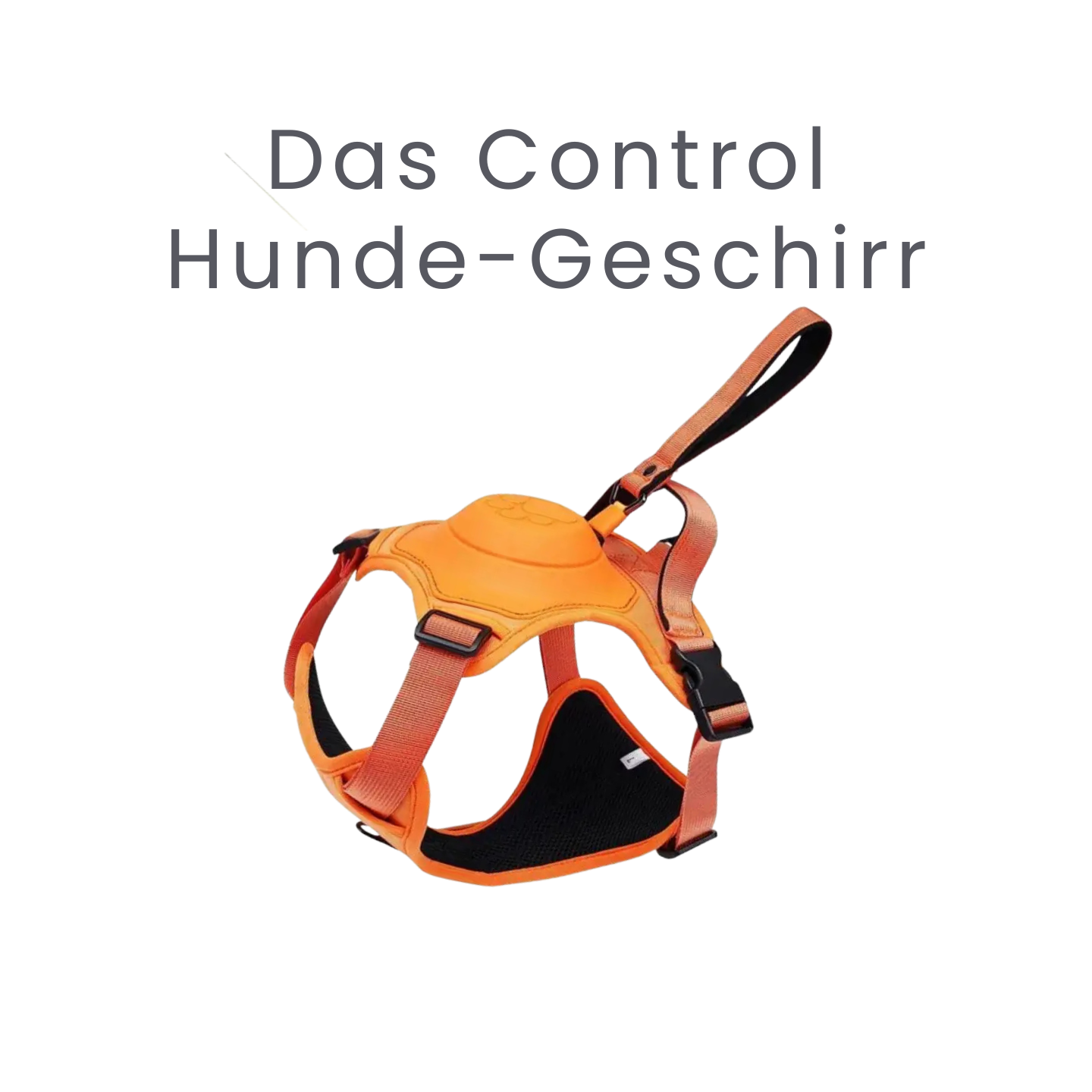 Das Control Hunde-Geschirr