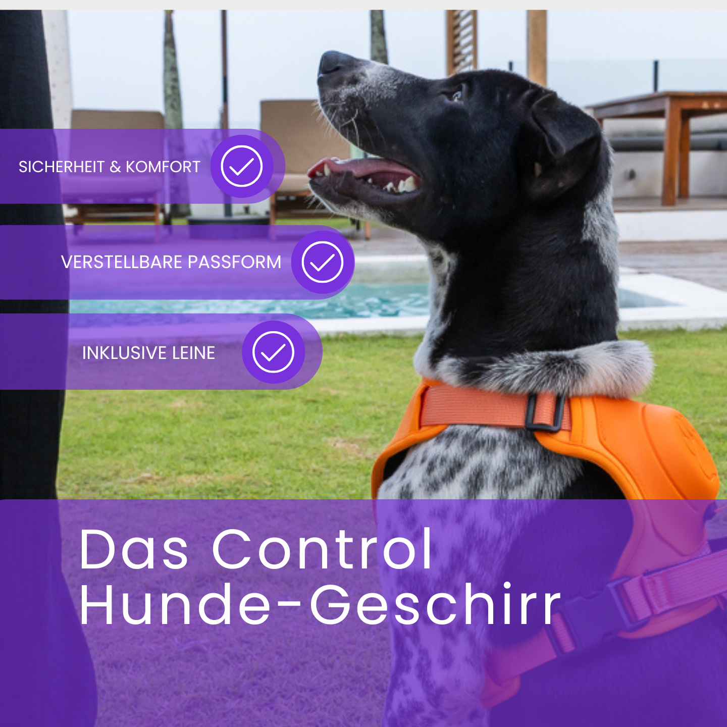 Das Control Hunde-Geschirr