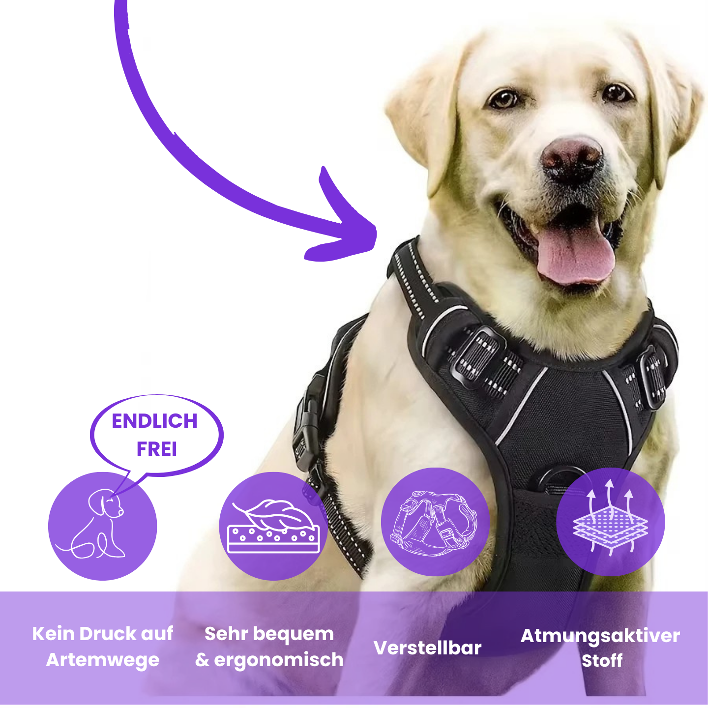 Happy-Walk-Geschirr - Für Spaziergänge ohne langwierige Schäden