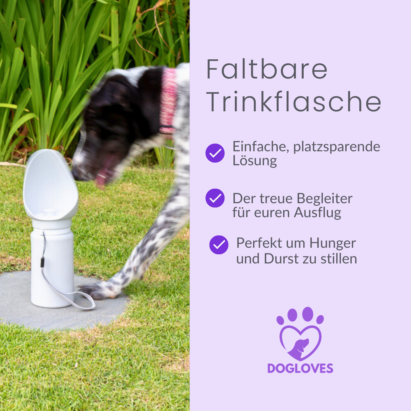 Die faltbare Hundetrinkflasche für unterwegs