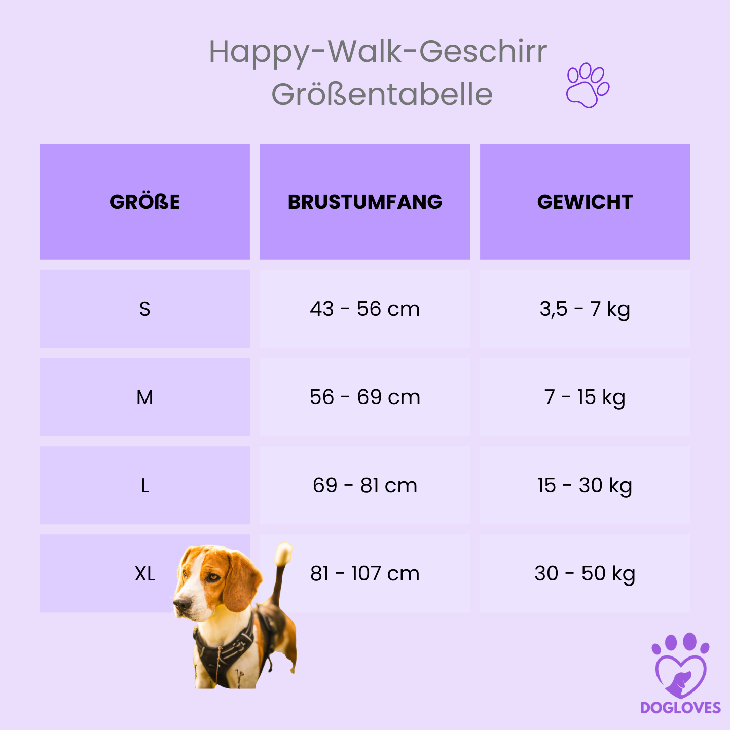 Happy-Walk-Geschirr - Für Spaziergänge ohne langwierige Schäden