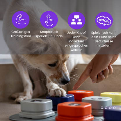Das interaktive Kommunikationstool für Hunde
