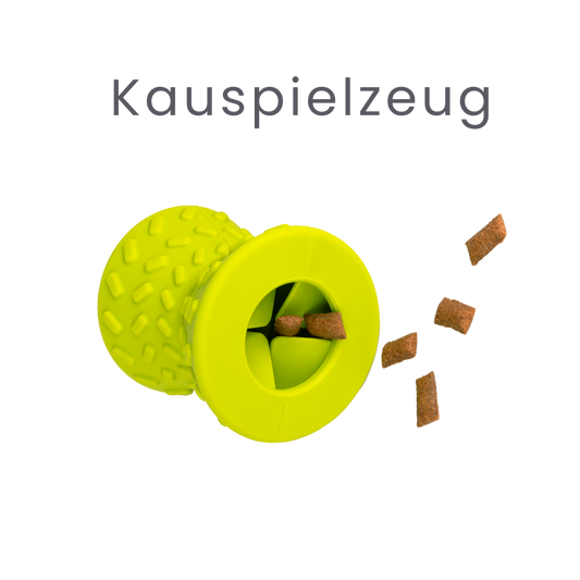 Das Kauspielzeug für die Gesundheit deines Hundes