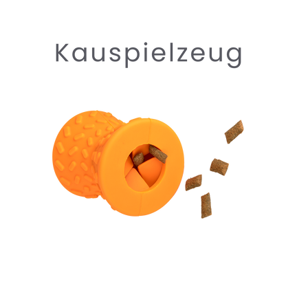 Das Kauspielzeug für die Gesundheit deines Hundes