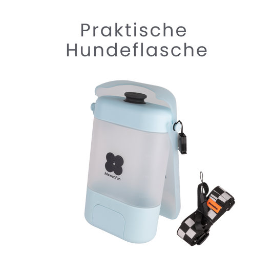 Die praktische Hundewasserflasche für unterwegs
