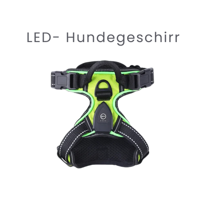 LED Hundegeschirr: Sicherheitsgeschirr für dein Hund