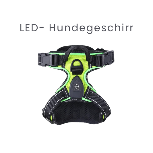 LED Hundegeschirr: Sicherheitsgeschirr für dein Hund