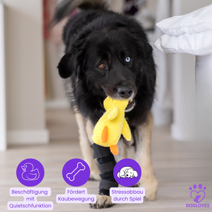 Anti-Stress-Ente - Spielspaß & Entspannung für deinen Hund