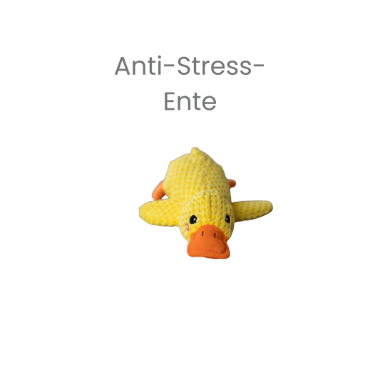 Anti-Stress-Ente - Spielspaß & Entspannung für deinen Hund