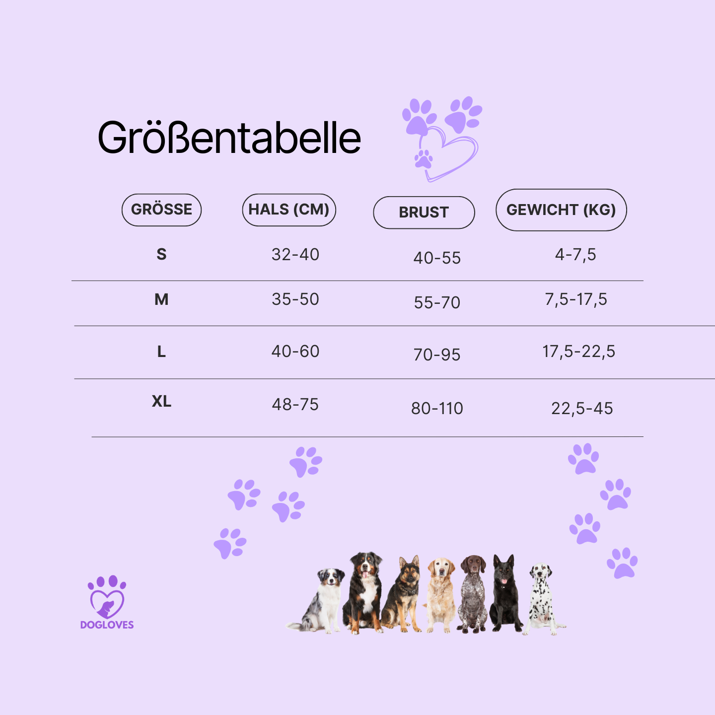 LED Hundegeschirr: Sicherheitsgeschirr für dein Hund