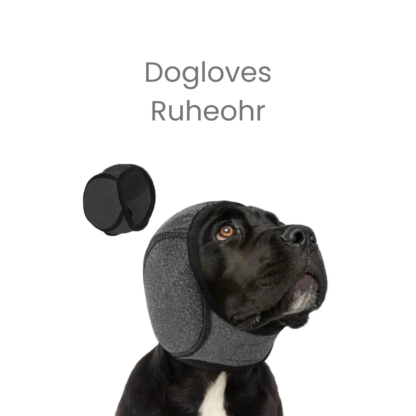 Dogloves Ruheohr – Silvester-Ohrschutz