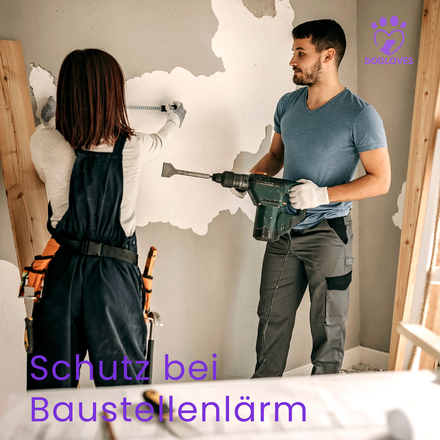 Dogloves Ruheohr – Silvester-Ohrschutz