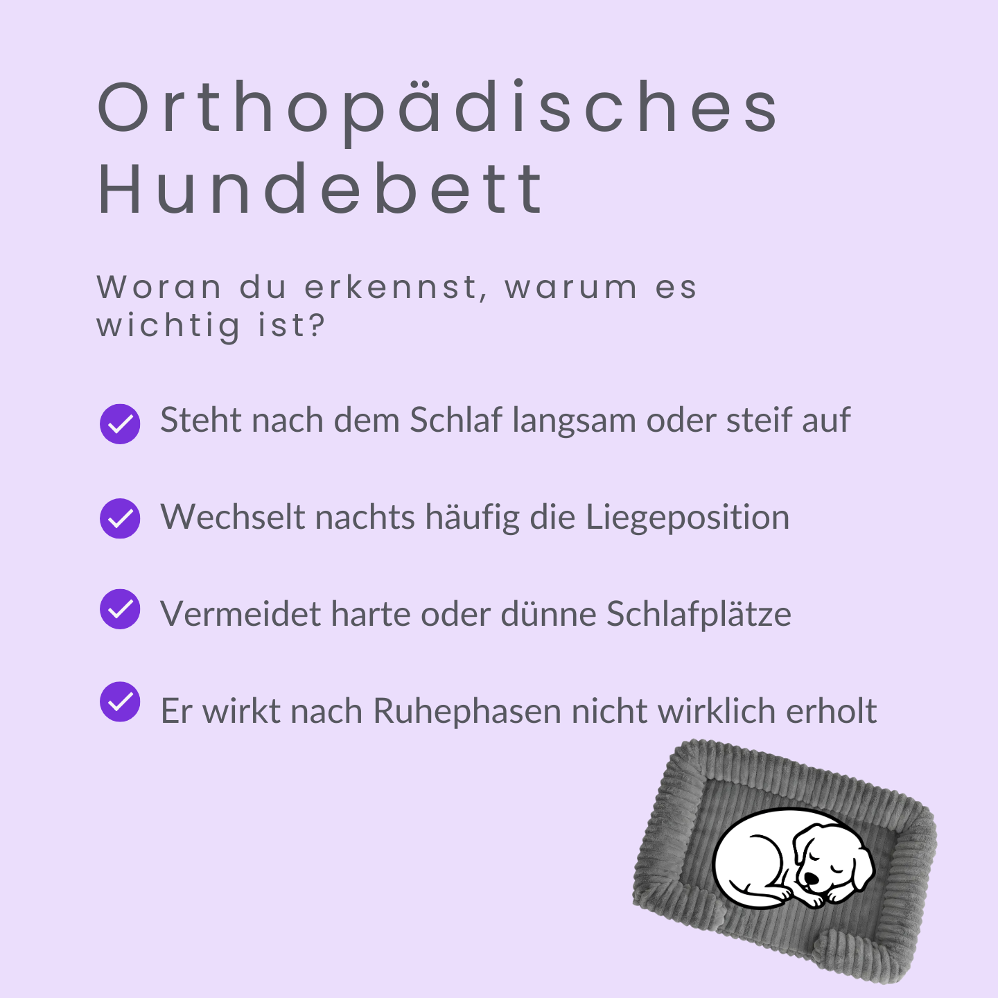 Dogloves Orthopädisches Komfort Hundebett