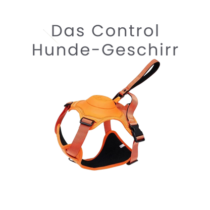 Das Control Hunde-Geschirr