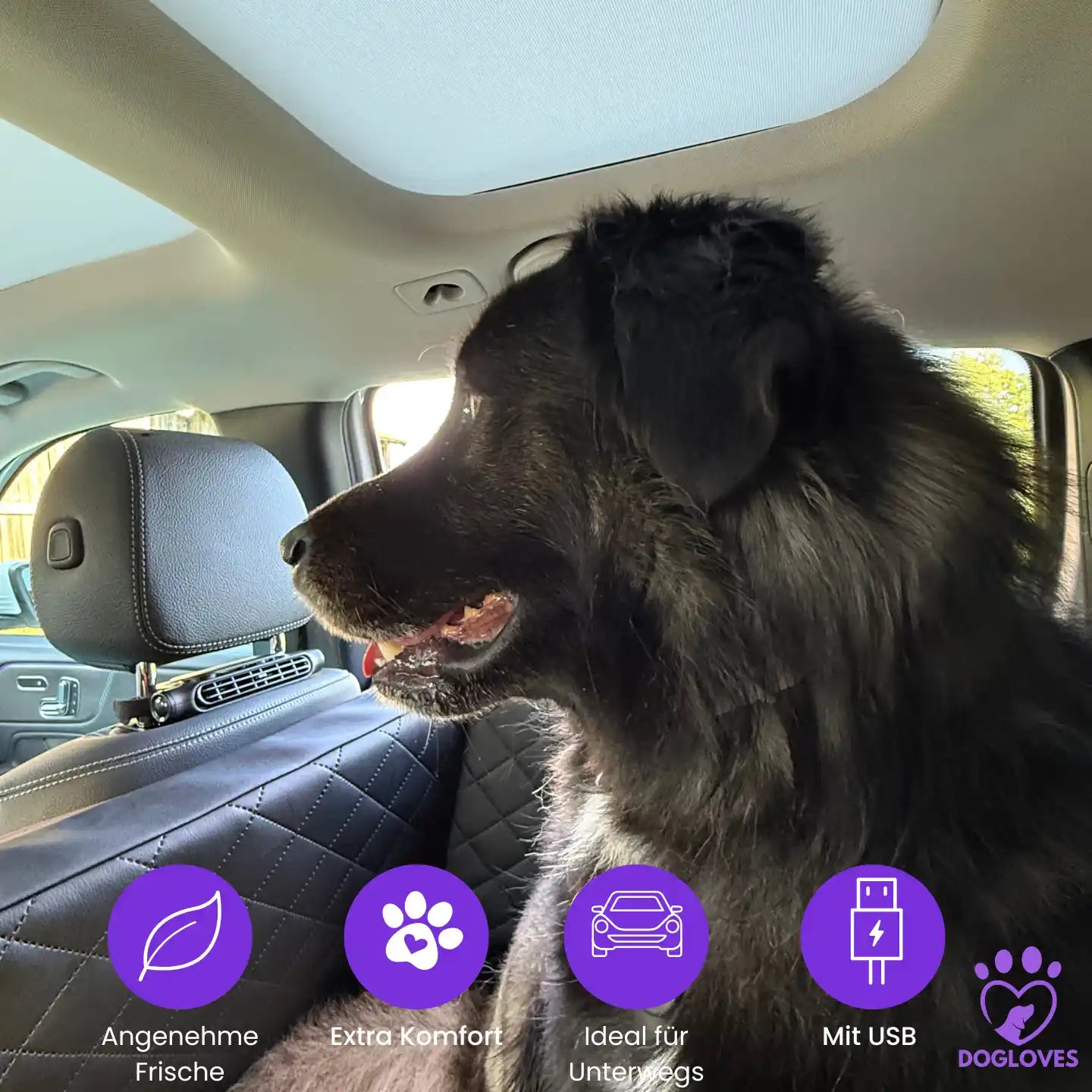 KühlBuddy - der mobile Ventilator für deinen Hund